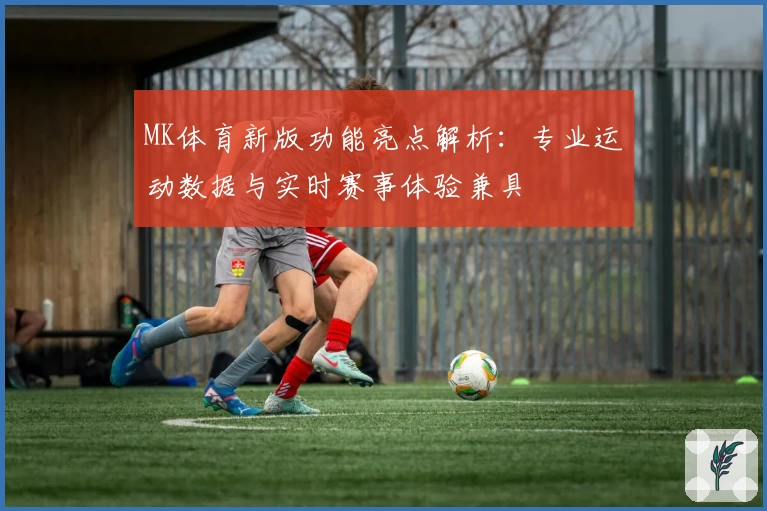 MK体育新版功能亮点解析：专业运动数据与实时赛事体验兼具